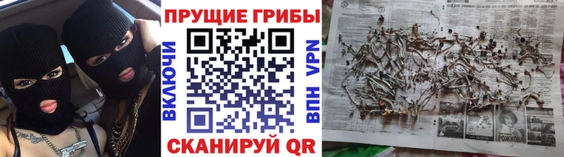 наркота  Облучье  ОМГ ОМГ ссылка  Галлюциногенные грибы ЛСД 
